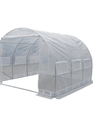 Greenhouse Pengering Kopi